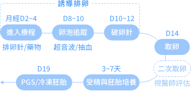 個人化精準試管流程是施打排卵針、取卵、受精培養、冷凍保存優質胚胎。卵子庫存少者可同週期二次取卵,並結合PGS技術篩選染色體正常胚胎,大幅提升成功率。