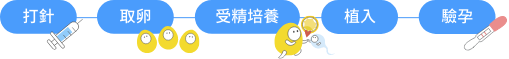 一般試管流程
